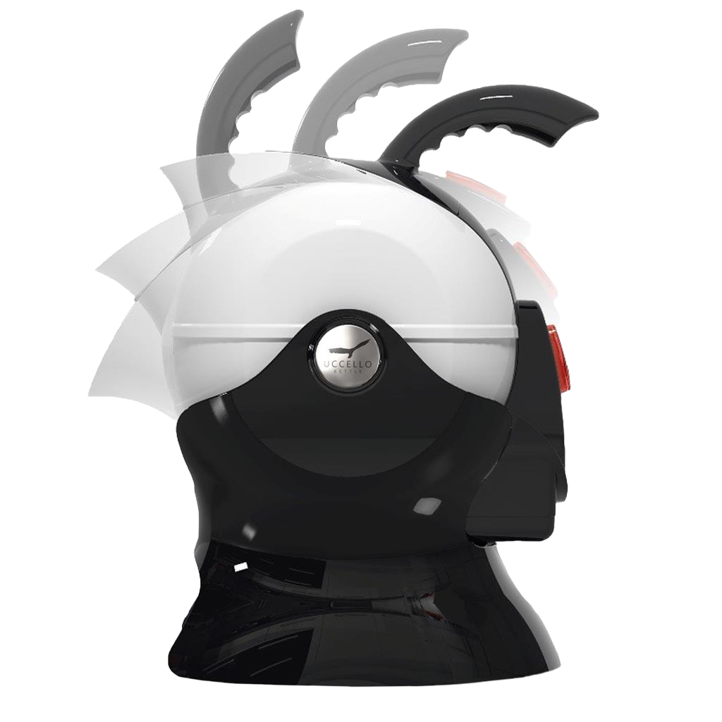 Uccello Black and White 04
