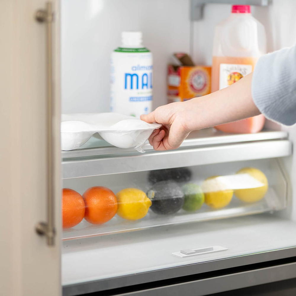 Obi Plate in Fridge